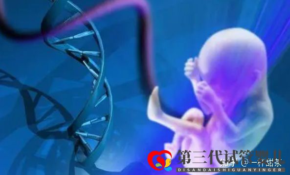 今天讲解一下三代试管的基因筛查(图3) 今天讲解一下三代试管的基因筛查(图3)