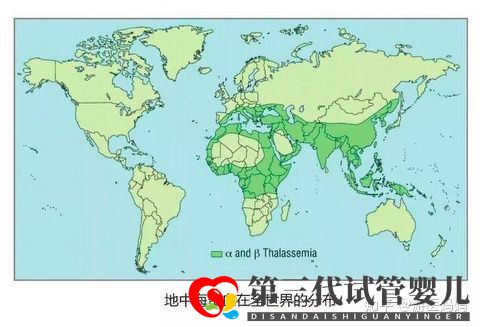 地中海贫血怎么办泰国第三代试管避免子代遗传(图2)
