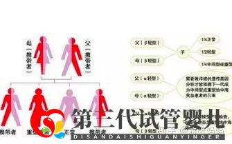 地中海贫血怎么办泰国第三代试管避免子代遗传(图3)
