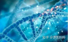 地中海贫血怎么办泰国第三代试管避免子代遗传(图4)