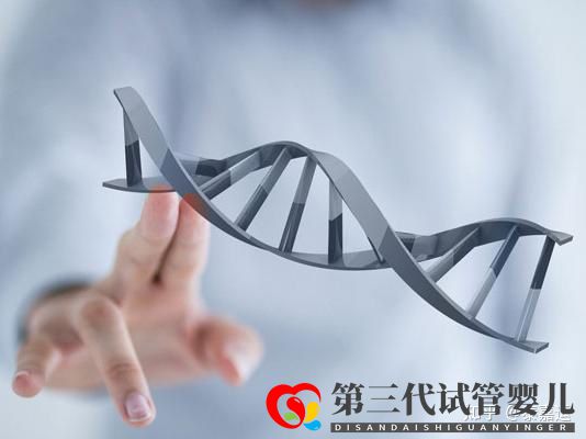 深挖三代试管婴儿的详细费用结构(图3) 深挖三代试管婴儿的详细费用结构(图3)