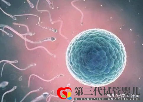 通俗易懂的一、二、三代试管婴儿解说,及三代试管能...(图1) 通俗易懂的一、二、三代试管婴儿解说,及三代试管能...(图1)