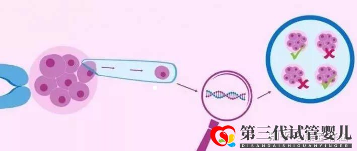 通俗易懂的一、二、三代试管婴儿解说,及三代试管能...(图5) 通俗易懂的一、二、三代试管婴儿解说,及三代试管能...(图5)