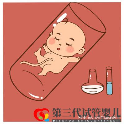 国内第三代试管婴儿多少钱国内私人试管机构(图4) 国内第三代试管婴儿多少钱国内私人试管机构(图4)