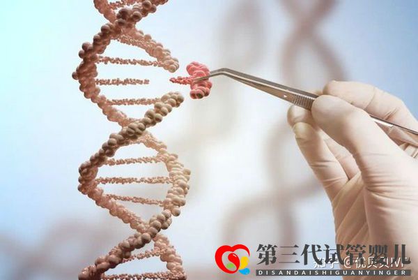 国内的三代试管医院都有哪些第一梯队了解下(图6) 国内的三代试管医院都有哪些第一梯队了解下(图6)