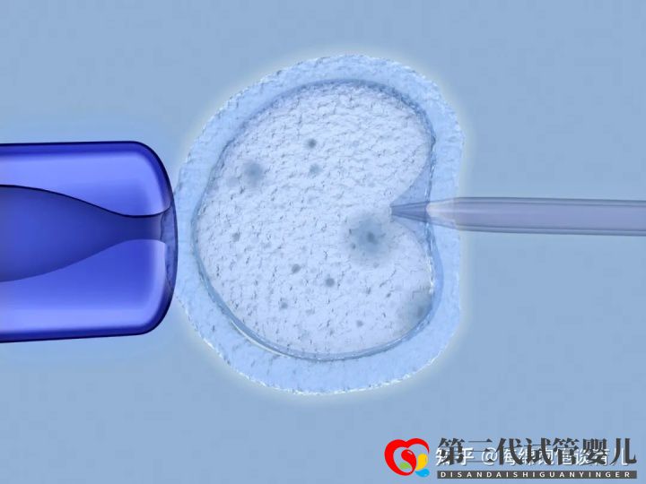 试管婴儿1代、2代、3代、4代哪个最好真实操作过...(图11) 试管婴儿1代、2代、3代、4代哪个最好真实操作过...(图11)