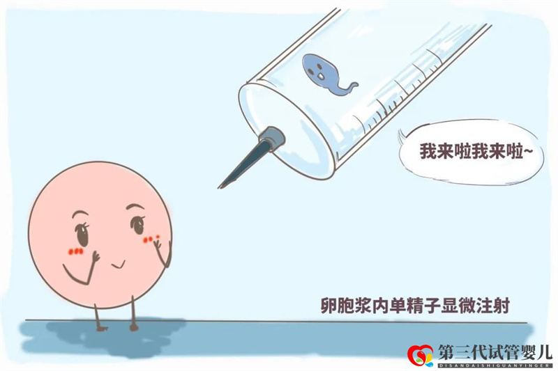 试管真的可以解决怀孕困难吗??试管五点误区快看~(图3) 试管真的可以解决怀孕困难吗??试管五点误区快看~(图3)