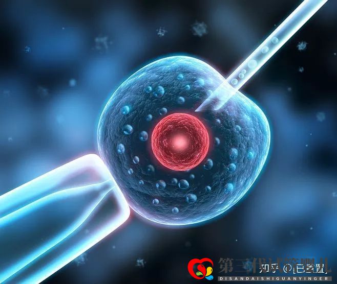 我不建议48岁的你去做试管,除非…(图6) 我不建议48岁的你去做试管,除非…(图6)