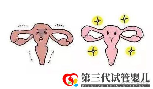 女性46岁高龄做试管婴儿成功率怎么样(图1)