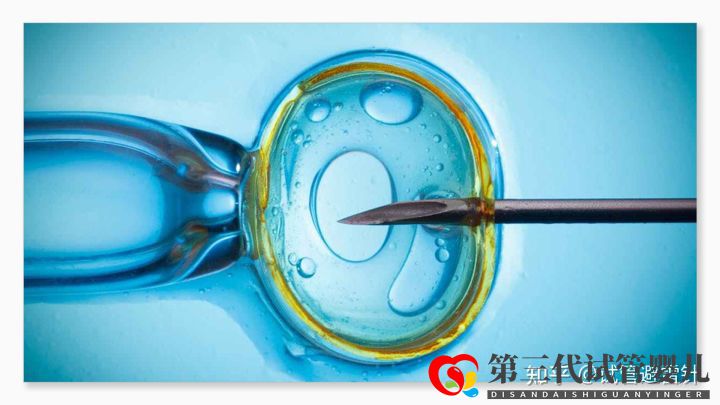 试管婴儿费用大约多少2022年——最全面的费用详解(...(图2) 试管婴儿费用大约多少2022年——最全面的费用详解(...(图2)