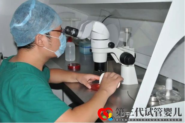 人工授精跟试管婴儿的区别(图8) 人工授精跟试管婴儿的区别(图8)