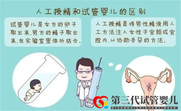 人工授精跟试管婴儿的区别(图1) 人工授精跟试管婴儿的区别(图1)