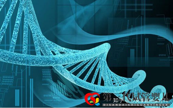 人工授精跟试管婴儿的区别(图11) 人工授精跟试管婴儿的区别(图11)