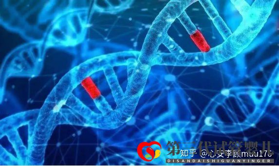 人工授精跟试管婴儿的区别(图13) 人工授精跟试管婴儿的区别(图13)