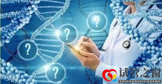 试管婴儿胚胎解冻的详细步骤是什么(图1)