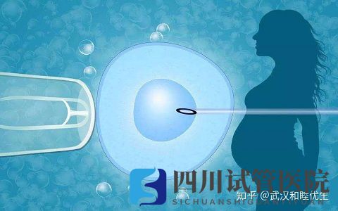 成都第三代试管技术可指定生男生女双胞胎...但这不是你一(图3) 成都第三代试管技术可指定生男生女双胞胎...但这不是你一(图3)
