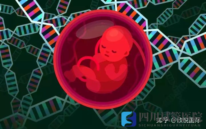 成都第三代试管婴儿费用大概多少钱(图2) 成都第三代试管婴儿费用大概多少钱(图2)