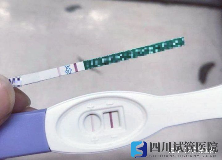 成都第三代试管婴儿费用大概多少钱(图5) 成都第三代试管婴儿费用大概多少钱(图5)