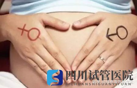 成都试管婴儿哪家最好来看看四川的吧(图2) 成都试管婴儿哪家最好来看看四川的吧(图2)