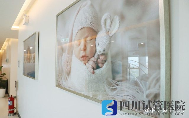 成都西囡医院三代试管排名好吗如何选择试管医院(图4) 成都西囡医院三代试管排名好吗如何选择试管医院(图4)