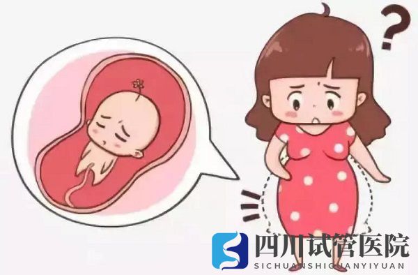 试管婴儿成功率高吗取决于什么(图2)