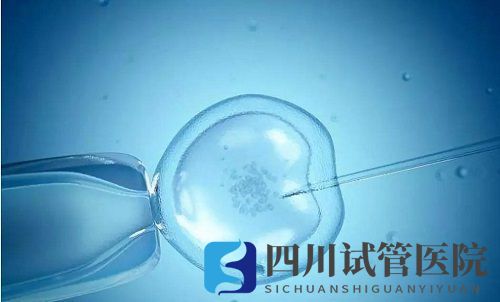 试管婴儿成功率如何评估?哪种因素最重要?(图1) 试管婴儿成功率如何评估?哪种因素最重要?(图1)