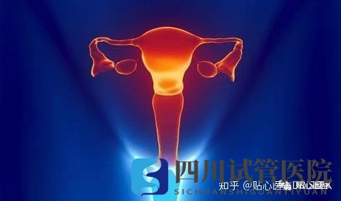 卵巢早衰做试管婴儿的成功率(图1)