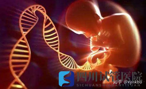 国内第三代试管婴儿可以选择性别吗(图6) 国内第三代试管婴儿可以选择性别吗(图6)