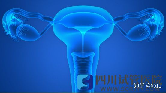 移植胚胎时子宫内膜应该满足哪些条件(图3) 移植胚胎时子宫内膜应该满足哪些条件(图3)