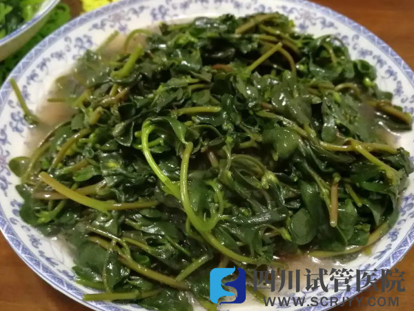 马齿菜