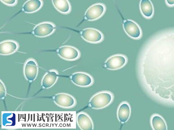精子质量差做试管怎么提高成功率