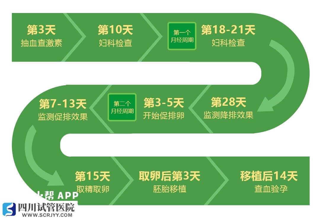 试管婴儿进周以后需要做些什么