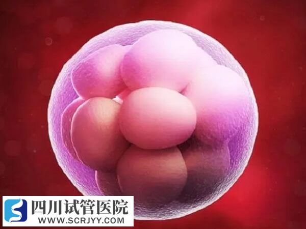 囊胚可能培养失败
