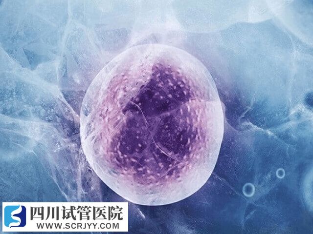 囊胚冷冻是为了进行PGS/PGD技术筛查